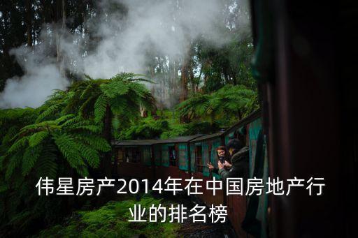  偉星房產(chǎn)2014年在中國(guó)房地產(chǎn)行業(yè)的排名榜