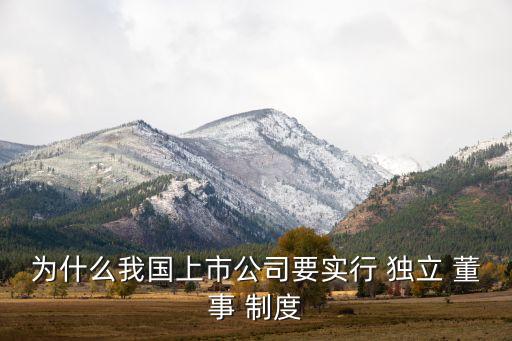 為什么我國上市公司要實行 獨立 董事 制度