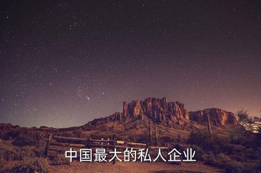 中國(guó)最大的私人企業(yè)
