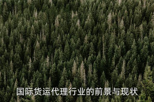 國際貨運(yùn)代理行業(yè)的前景與現(xiàn)狀