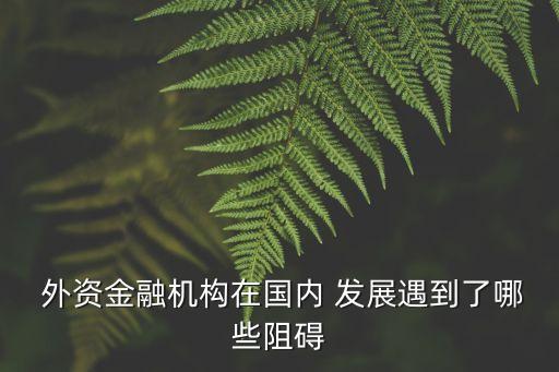外資銀行在中國(guó)發(fā)展,2023年外資銀行在中國(guó)的發(fā)展