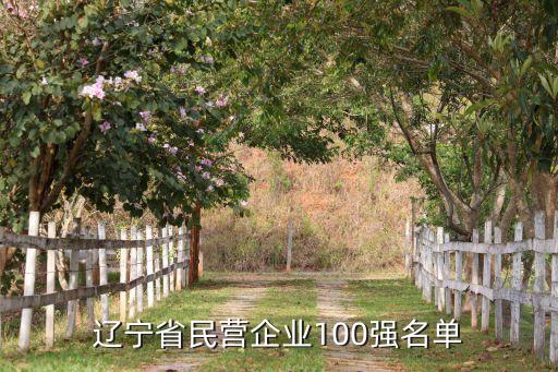 遼寧省民營(yíng)企業(yè)100強(qiáng)名單
