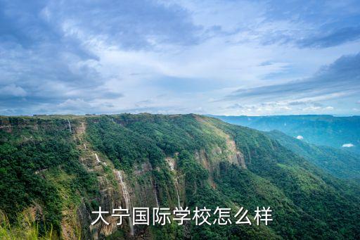  大寧國際學校怎么樣