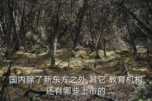 國內除了新東方之外,其它 教育機構還有哪些上市的