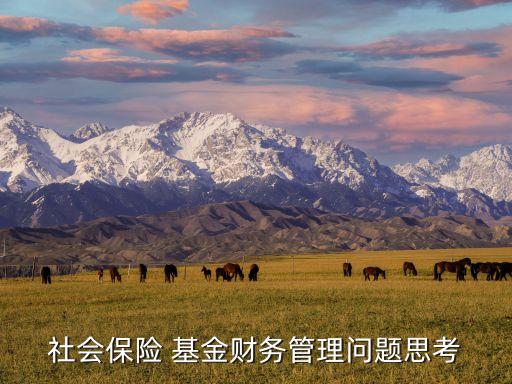 社保基金投資擴大,全國社?；饸v年投資收益率