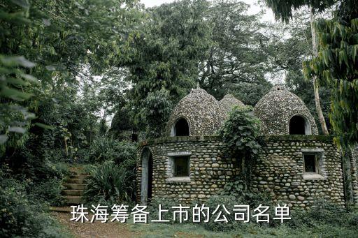  珠?；I備上市的公司名單