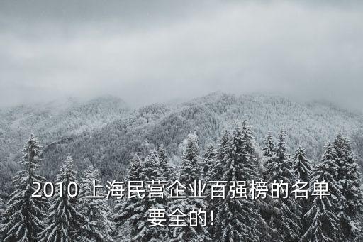 2010 上海民營(yíng)企業(yè)百強(qiáng)榜的名單要全的!