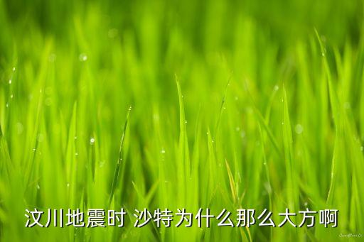 汶川地震時(shí) 沙特為什么那么大方啊