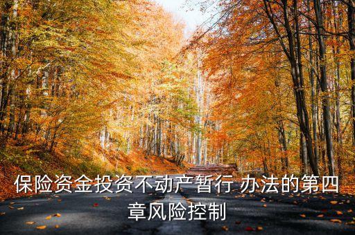 保險資金投資不動產(chǎn)暫行 辦法的第四章風(fēng)險控制