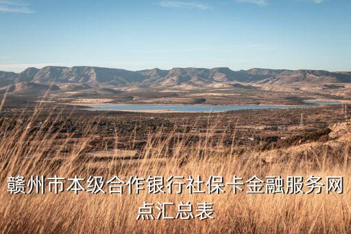 贛州市本級合作銀行社?？ń鹑诜站W點匯總表