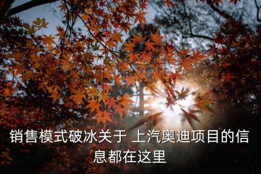 銷售模式破冰關(guān)于 上汽奧迪項(xiàng)目的信息都在這里