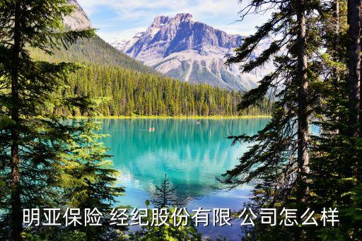 保險經(jīng)紀公司經(jīng)營范圍