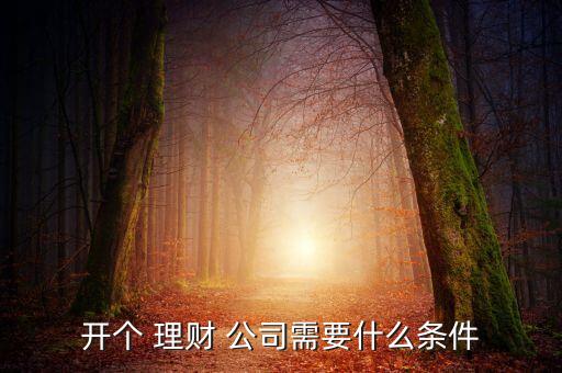 開個(gè) 理財(cái) 公司需要什么條件