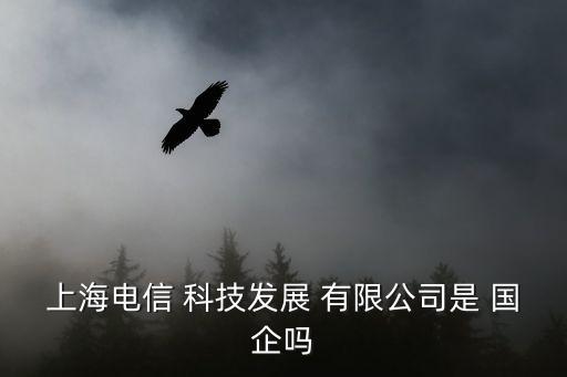 上海電信 科技發(fā)展 有限公司是 國企嗎