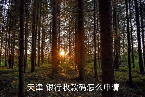  天津 銀行收款碼怎么申請(qǐng)