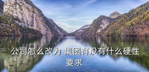  公司怎么改為 集團(tuán)有沒(méi)有什么硬性要求