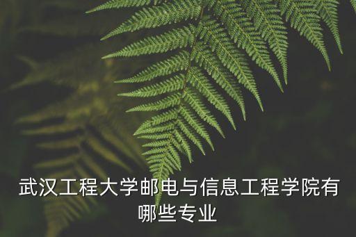  武漢工程大學郵電與信息工程學院有哪些專業(yè)