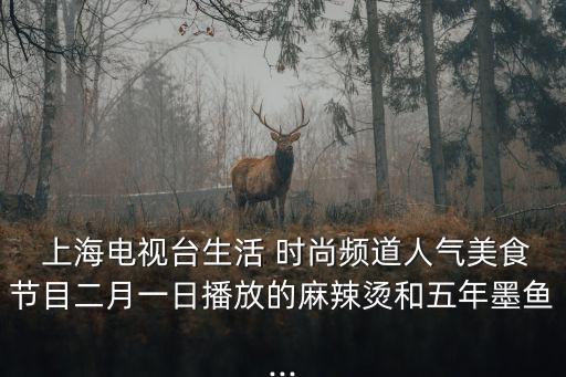  上海電視臺(tái)生活 時(shí)尚頻道人氣美食節(jié)目二月一日播放的麻辣燙和五年墨魚...