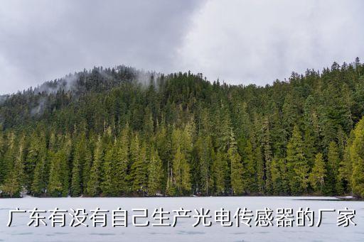 廣東有沒(méi)有自己生產(chǎn)光電傳感器的廠家