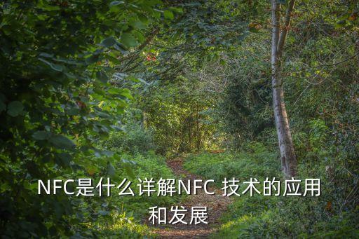 nfc移動支付技術上市公司,使用NFC技術實現(xiàn)的移動支付被稱為