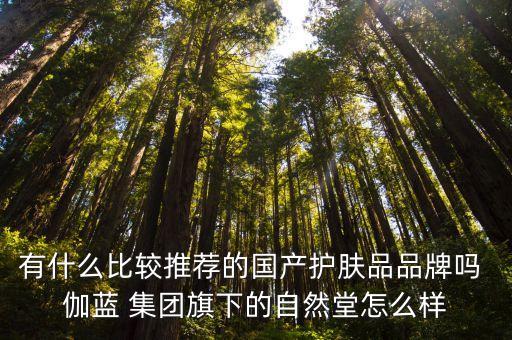有什么比較推薦的國產(chǎn)護膚品品牌嗎 伽藍 集團旗下的自然堂怎么樣