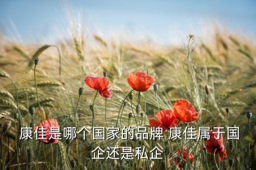  康佳是哪個國家的品牌 康佳屬于國企還是私企