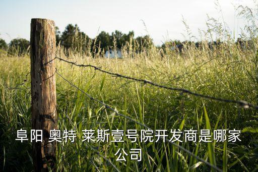 阜陽(yáng) 奧特 萊斯壹號(hào)院開發(fā)商是哪家公司