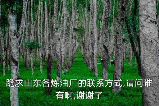 跪求山東各煉油廠的聯(lián)系方式,請(qǐng)問(wèn)誰(shuí)有啊,謝謝了