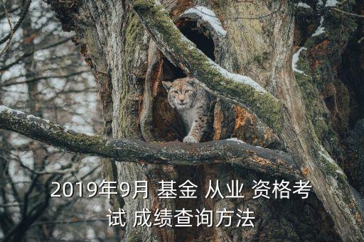 2019年9月 基金 從業(yè) 資格考試 成績(jī)查詢方法
