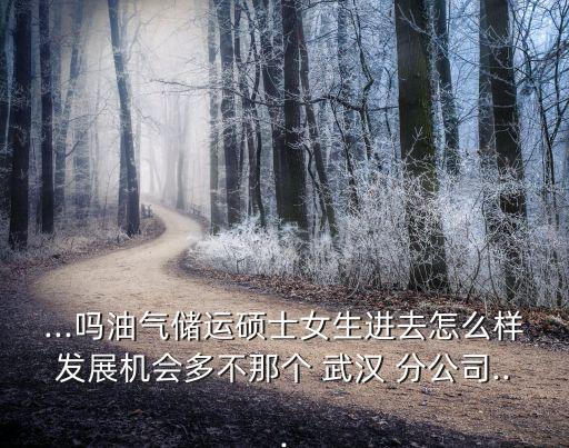...嗎油氣儲(chǔ)運(yùn)碩士女生進(jìn)去怎么樣發(fā)展機(jī)會(huì)多不那個(gè) 武漢 分公司...