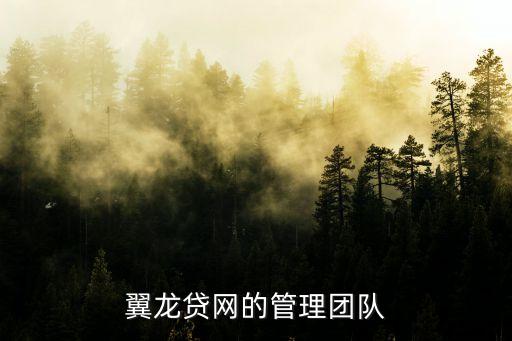 翼龍貸網(wǎng)的管理團(tuán)隊