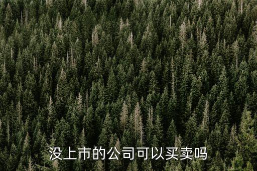 沒上市的公司可以買賣嗎