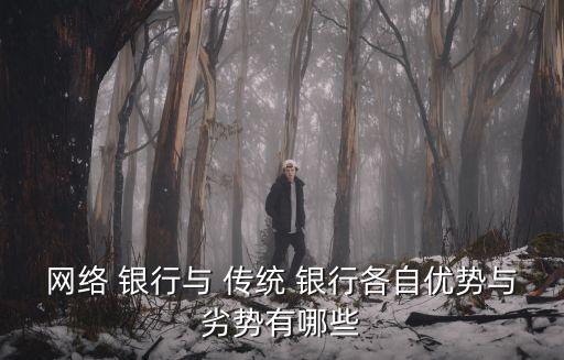 網(wǎng)絡(luò) 銀行與 傳統(tǒng) 銀行各自優(yōu)勢(shì)與劣勢(shì)有哪些