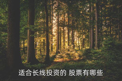 適合長(zhǎng)線投資的 股票有哪些