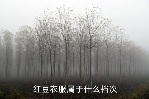 紅豆集團(tuán)總經(jīng)理
