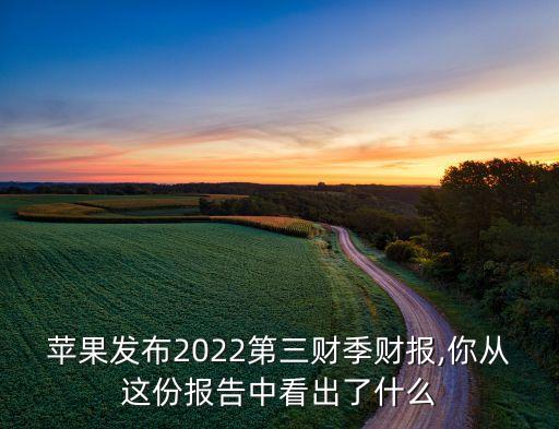蘋(píng)果發(fā)布2022第三財(cái)季財(cái)報(bào),你從這份報(bào)告中看出了什么