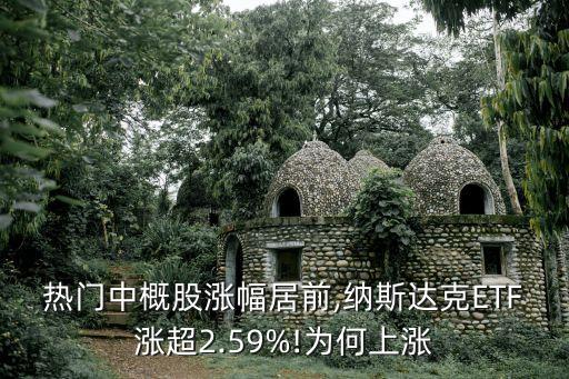 熱門中概股漲幅居前,納斯達克ETF漲超2.59%!為何上漲