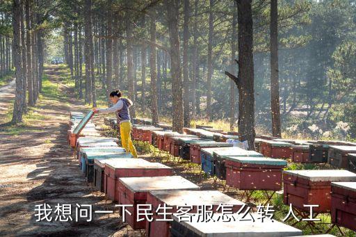 民生銀行怎么沒(méi)有人工
