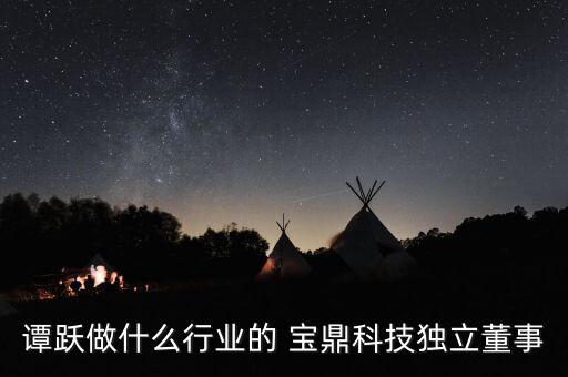 譚躍做什么行業(yè)的 寶鼎科技獨(dú)立董事