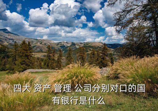 長(zhǎng)城資產(chǎn)管理公司