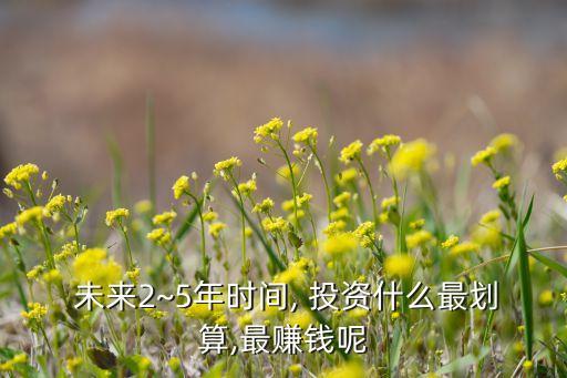  未來(lái)2~5年時(shí)間, 投資什么最劃算,最賺錢呢