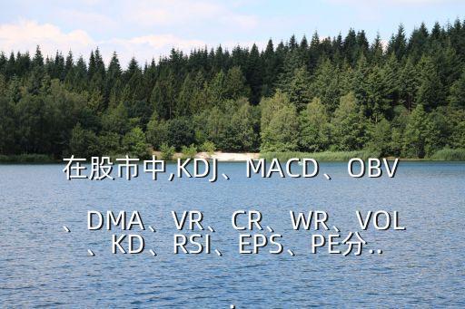 在股市中,KDJ、MACD、OBV、DMA、VR、CR、WR、VOL、KD、RSI、EPS、PE分...