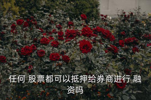 每個(gè)股票可融資融券,融資融券的股票對散戶好不好