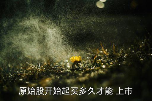 黃龍洞股票能上市嗎,張家界黃龍洞股票分紅