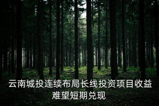  云南城投連續(xù)布局長線投資項目收益難望短期兌現