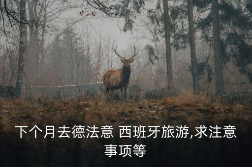 下個(gè)月去德法意 西班牙旅游,求注意事項(xiàng)等