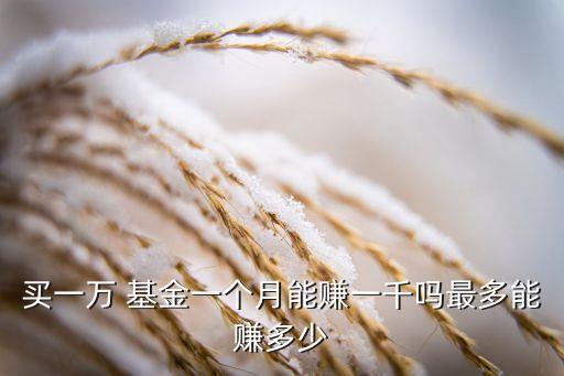 買(mǎi)一萬(wàn) 基金一個(gè)月能賺一千嗎最多能賺多少