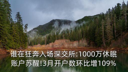 誰在狂奔入場深交所:1000萬休眠賬戶蘇醒!3月開戶數環(huán)比增109%
