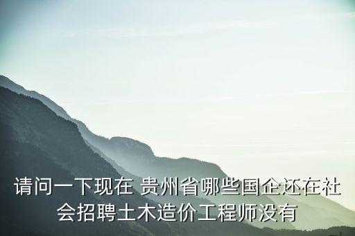 請(qǐng)問(wèn)一下現(xiàn)在 貴州省哪些國(guó)企還在社會(huì)招聘土木造價(jià)工程師沒(méi)有