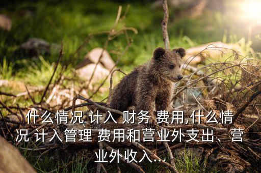 什么情況 計入 財務 費用,什么情況 計入管理 費用和營業(yè)外支出、營業(yè)外收入...
